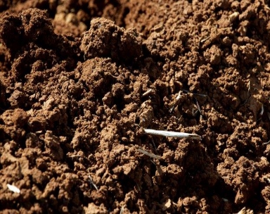 Soil knowledge workshops